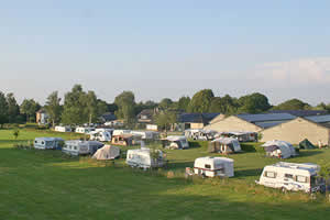 Zinkviooltje
