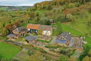 Paradijsvogel